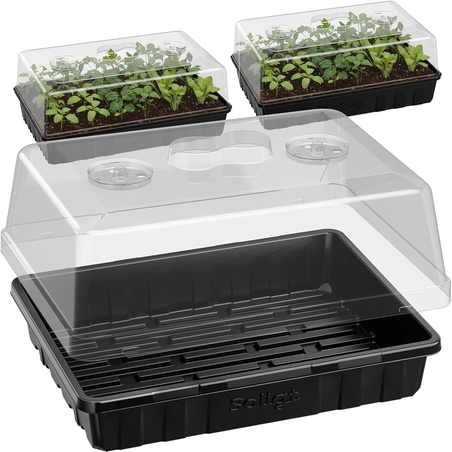 SOLIGT [Thick Plastic] 3-Set Strong Seed Starter Trays with 5" Humidity Domes for Seed Starting, Germination, Seedling Propagation & Plant Growing, Holds 144 Cells in Total