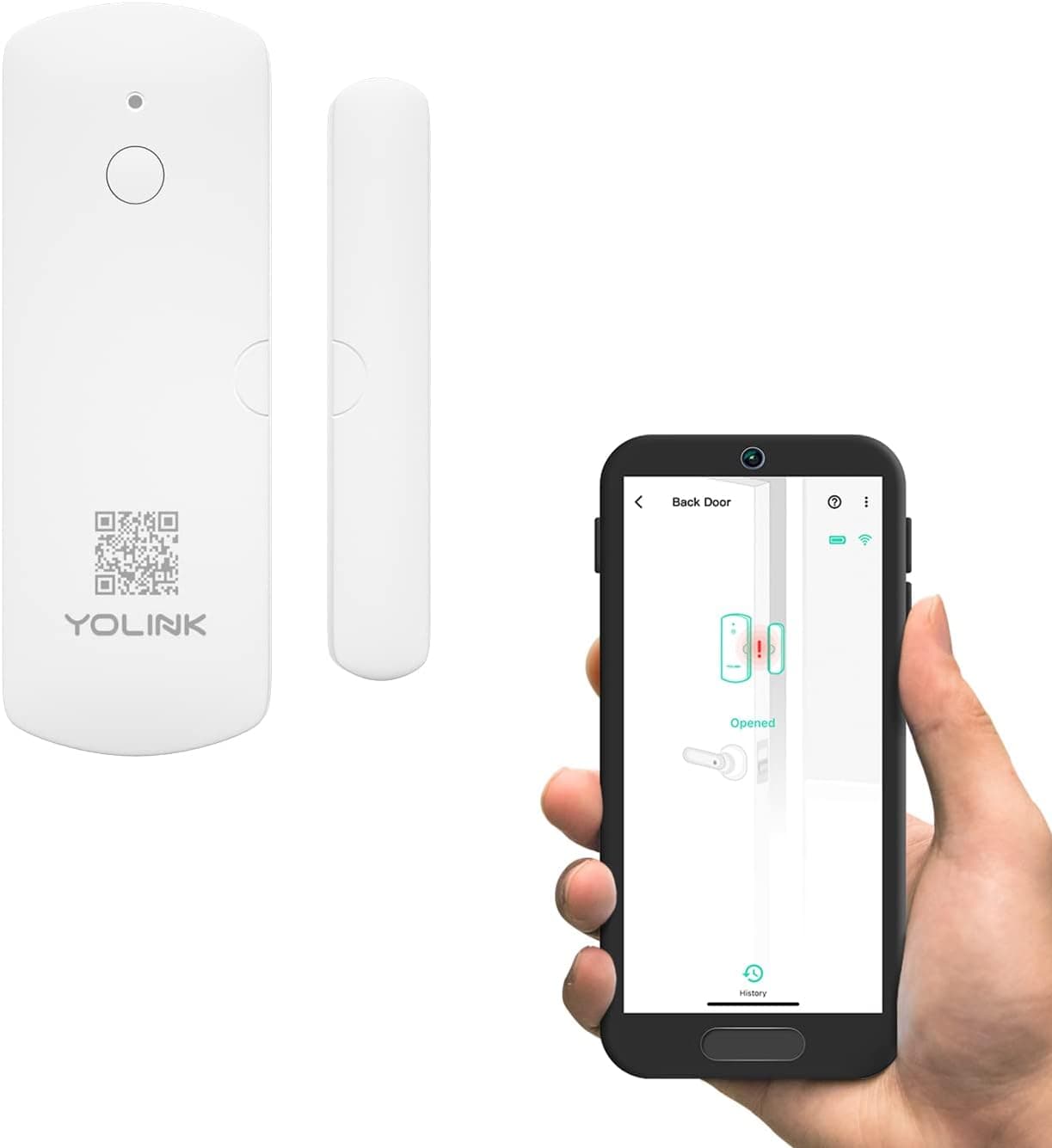 YoLink LoRa Smart Door & Window Sensor: Up to 1/4 Mile Open-Air Range, Door Left-Open Reminders, up to 5 Year Battery Life, Alexa, IFTTT, Home Assistant, Home Security, Hub Required