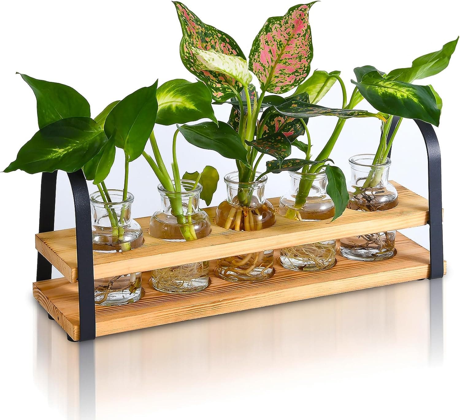 Plant Propagation Station with Wood Stand, Desktop Terrarium for Hydroponic, Flower Vase for Home, Kitchen, Office Decor, Plants Lover Gifts