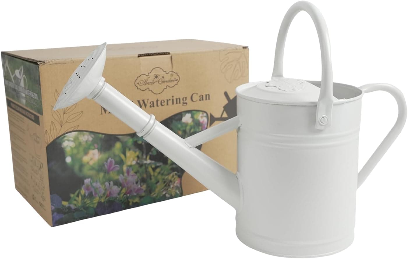 1 Gallon Metal Watering Can for Indoor Plants Outdoor Plants, Large Water Can, Garden Water Can for Kids, Detachable, Water Can with Handle, White