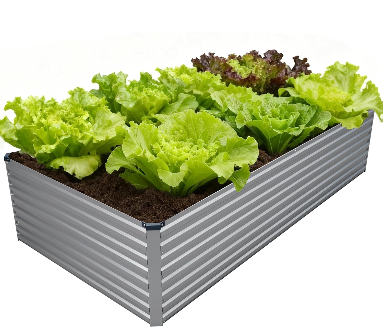 8x4x2FT Galvanized Raised Garden Bed Kit,Vegetable Plant Boxes-Rectangle Metal Flower Box,Large Planter Raised Beds Outdoor Garden for Planting,Fruit,Herb-Sliver