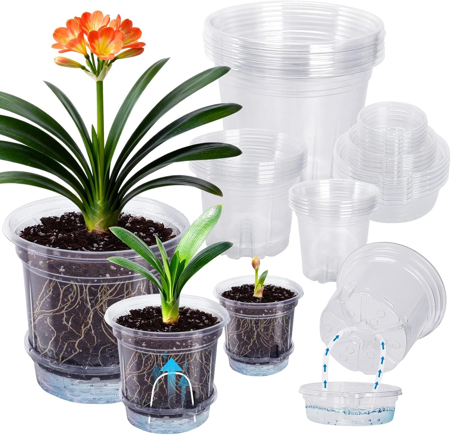 MIXC 18 Packs 6.5/5/4 Inch Self Watering Pots for Indoor Plants - Clear Nursery Plant Pots with Drainage, Deep Visible Reservoir - Flower Planter Outdoor with Wicking Rope